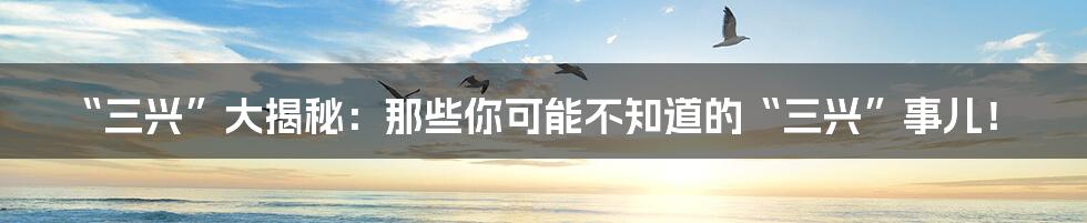 “三兴”大揭秘：那些你可能不知道的“三兴”事儿！