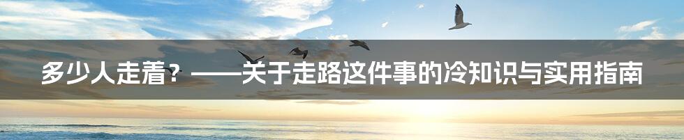 多少人走着?——关于走路这件事的冷知识与实用指南