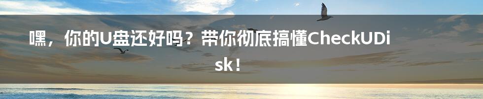 嘿，你的U盘还好吗？带你彻底搞懂CheckUDisk！