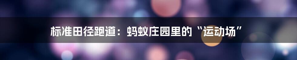 标准田径跑道:蚂蚁庄园里的“运动场”