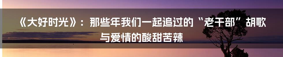 《大好时光》：那些年我们一起追过的“老干部”胡歌与爱情的酸甜苦辣