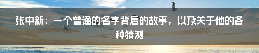 张中新:一个普通的名字背后的故事,以及关于他的各种猜测