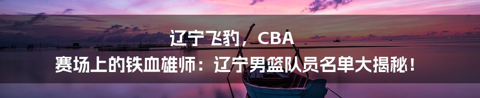 辽宁飞豹,CBA 赛场上的铁血雄师:辽宁男篮队员名单大揭秘!