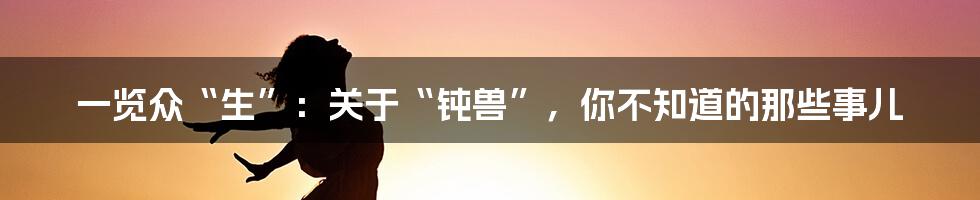 一览众“生”:关于“钝兽”,你不知道的那些事儿