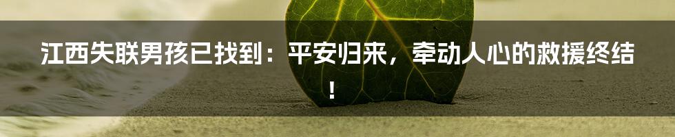 江西失联男孩已找到:平安归来,牵动人心的救援终结!