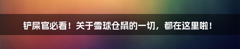 铲屎官必看！关于雪球仓鼠的一切，都在这里啦！