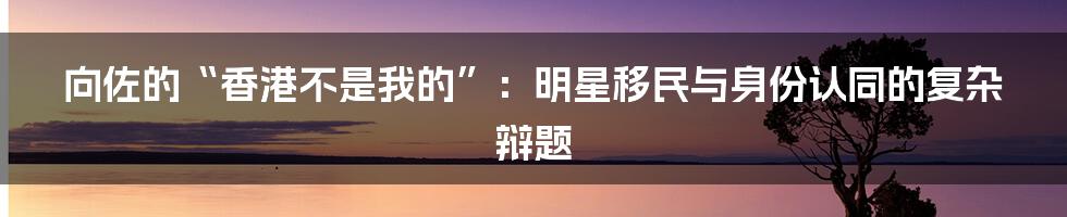 向佐的“香港不是我的”：明星移民与身份认同的复杂辩题