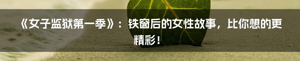 《女子监狱第一季》：铁窗后的女性故事，比你想的更精彩！