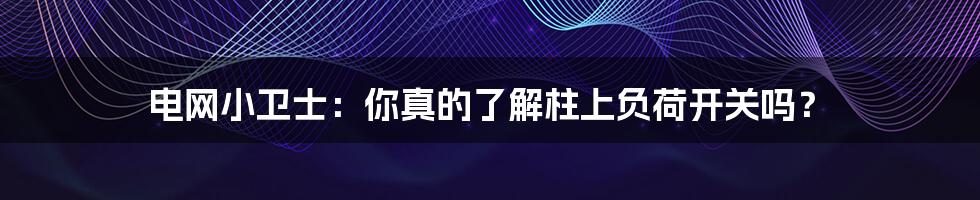 电网小卫士:你真的了解柱上负荷开关吗?