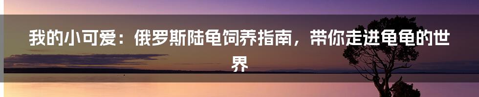 我的小可爱：俄罗斯陆龟饲养指南，带你走进龟龟的世界
