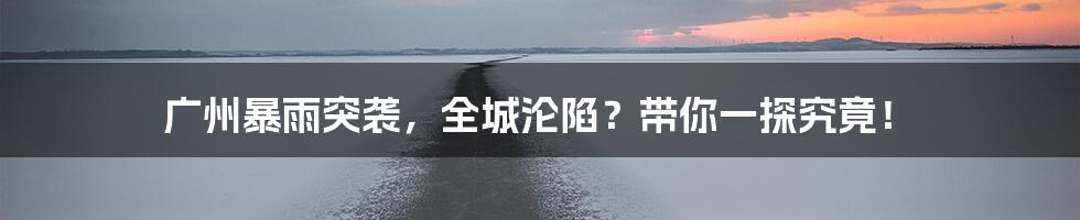 广州暴雨突袭,全城沦陷?带你一探究竟!