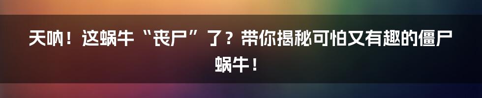 天呐!这蜗牛“丧尸”了?带你揭秘可怕又有趣的僵尸蜗牛!