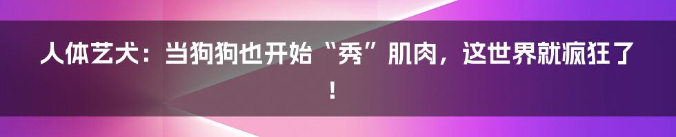 人体艺犬：当狗狗也开始“秀”肌肉，这世界就疯狂了！