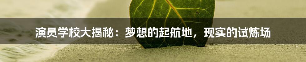 演员学校大揭秘：梦想的起航地，现实的试炼场