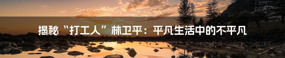 揭秘“打工人”林卫平:平凡生活中的不平凡