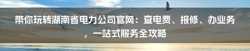 带你玩转湖南省电力公司官网:查电费、报修、办业务,一站式服务全攻略