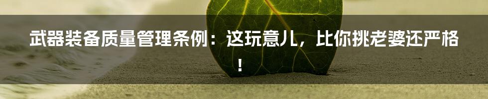 武器装备质量管理条例:这玩意儿,比你挑老婆还严格!