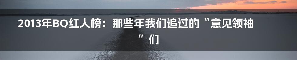 2013年BQ红人榜：那些年我们追过的“意见领袖”们