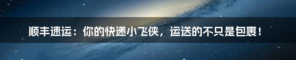顺丰速运：你的快递小飞侠，运送的不只是包裹！