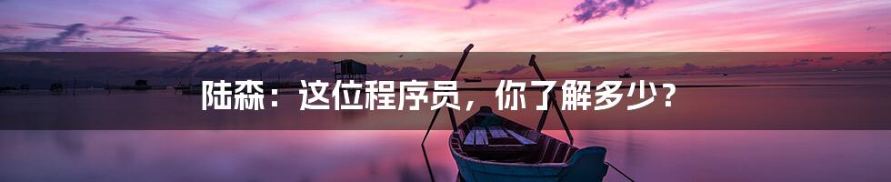 陆森:这位程序员,你了解多少?