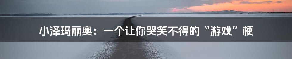 小泽玛丽奥：一个让你哭笑不得的“游戏”梗