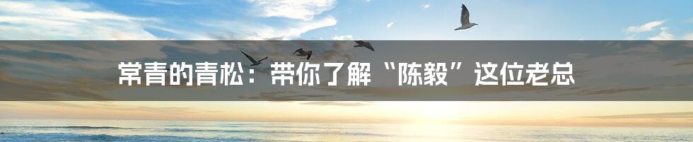 常青的青松:带你了解“陈毅”这位老总