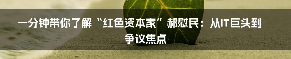 一分钟带你了解“红色资本家”郝慰民:从IT巨头到争议焦点