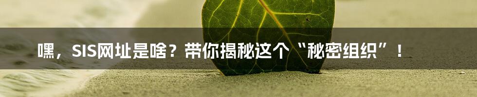 嘿,SIS网址是啥?带你揭秘这个“秘密组织”!