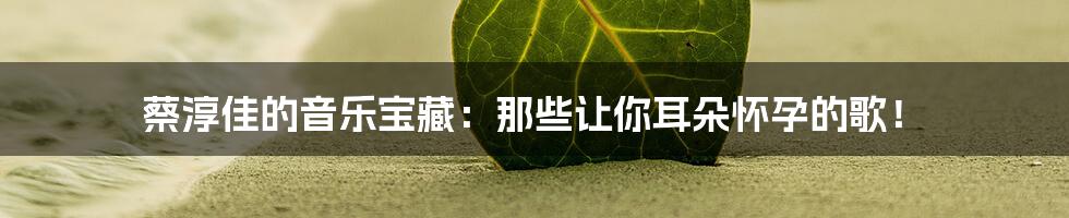蔡淳佳的音乐宝藏:那些让你耳朵怀孕的歌!
