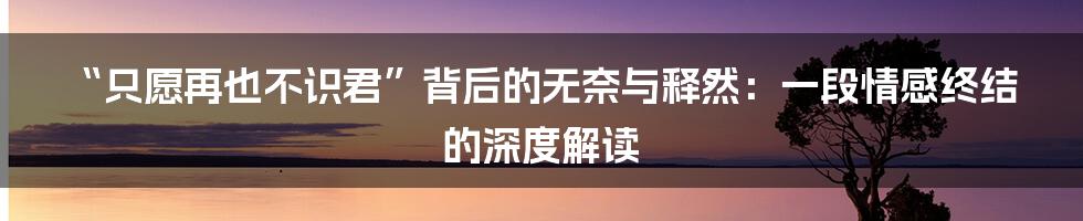 “只愿再也不识君”背后的无奈与释然：一段情感终结的深度解读