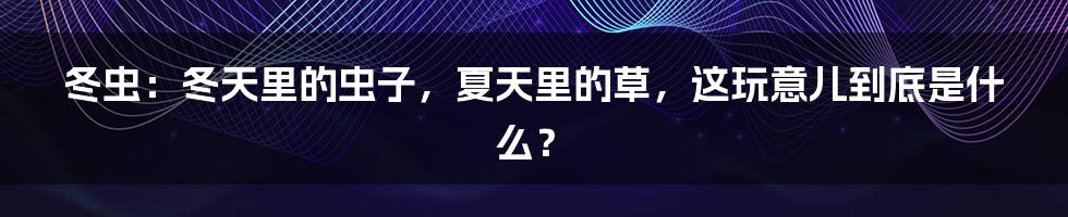 冬虫：冬天里的虫子，夏天里的草，这玩意儿到底是什么？