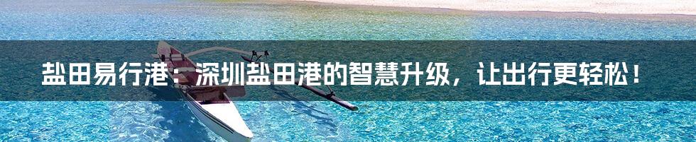 盐田易行港:深圳盐田港的智慧升级,让出行更轻松!