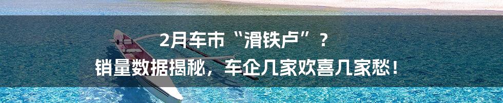 2月车市“滑铁卢”? 销量数据揭秘,车企几家欢喜几家愁!