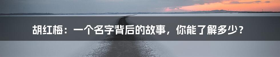 胡红梅:一个名字背后的故事,你能了解多少?