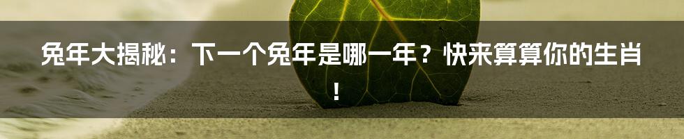 兔年大揭秘:下一个兔年是哪一年?快来算算你的生肖!