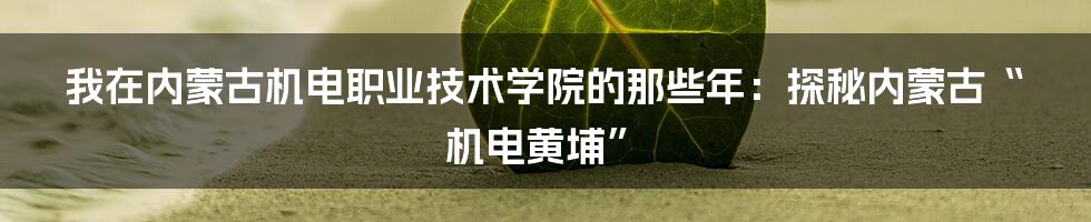 我在内蒙古机电职业技术学院的那些年:探秘内蒙古“机电黄埔”