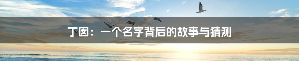 丁囡:一个名字背后的故事与猜测