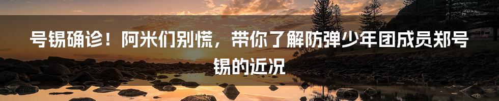 号锡确诊!阿米们别慌,带你了解防弹少年团成员郑号锡的近况