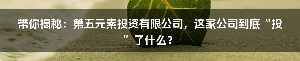 带你揭秘:第五元素投资有限公司,这家公司到底“投”了什么?
