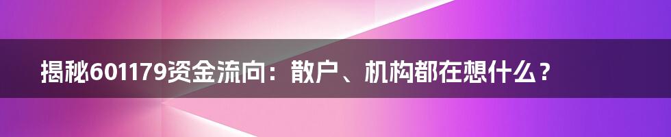 揭秘601179资金流向：散户、机构都在想什么？