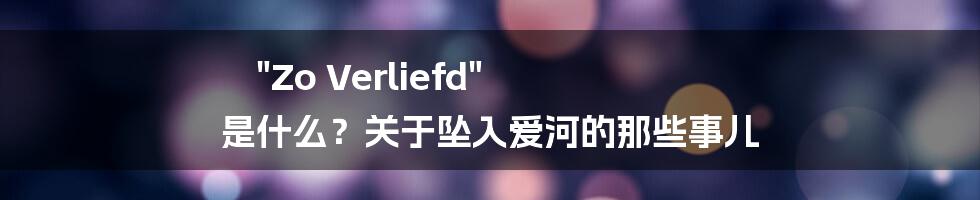 "Zo Verliefd" 是什么？关于坠入爱河的那些事儿