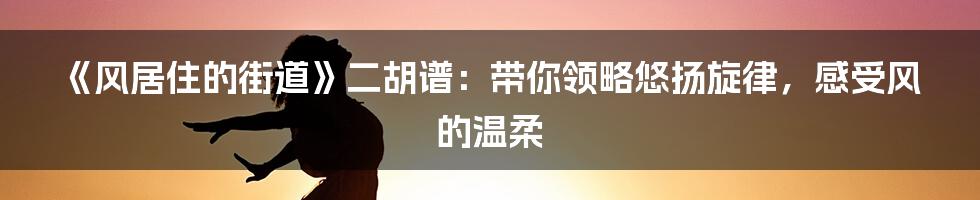 《风居住的街道》二胡谱：带你领略悠扬旋律，感受风的温柔