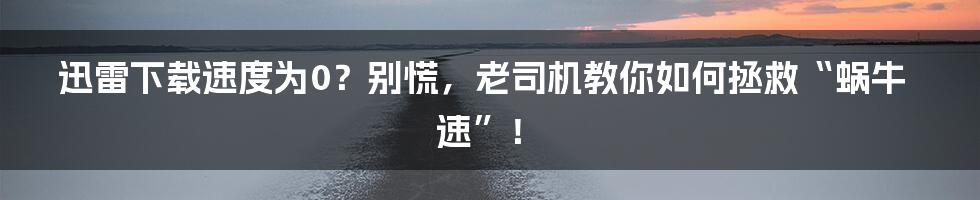 迅雷下载速度为0?别慌,老司机教你如何拯救“蜗牛速”!