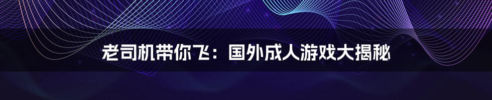 老司机带你飞:国外成人游戏大揭秘