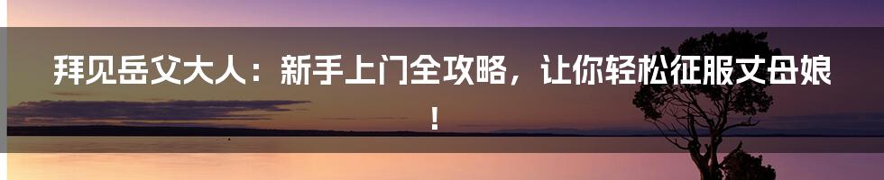 拜见岳父大人：新手上门全攻略，让你轻松征服丈母娘！