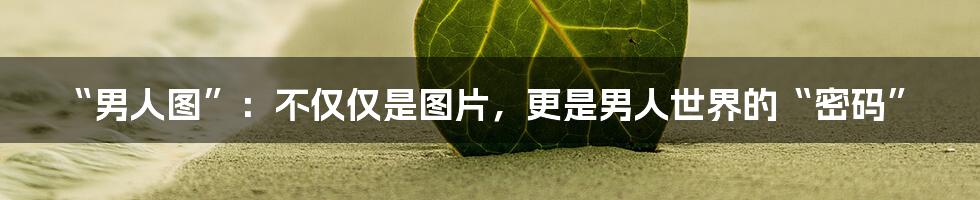 “男人图”:不仅仅是图片,更是男人世界的“密码”