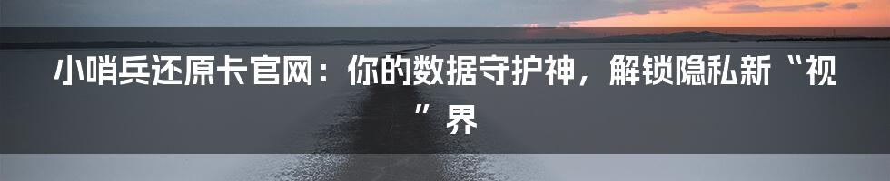 小哨兵还原卡官网:你的数据守护神,解锁隐私新“视”界