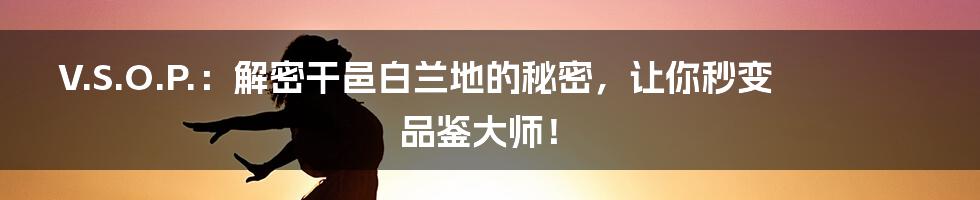 V.S.O.P.:解密干邑白兰地的秘密,让你秒变品鉴大师!