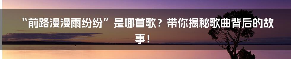 “前路漫漫雨纷纷”是哪首歌?带你揭秘歌曲背后的故事!