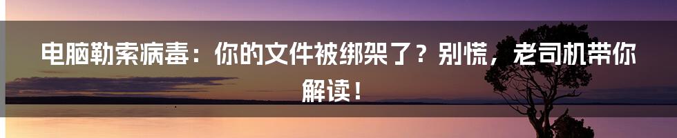 电脑勒索病毒:你的文件被绑架了?别慌,老司机带你解读!